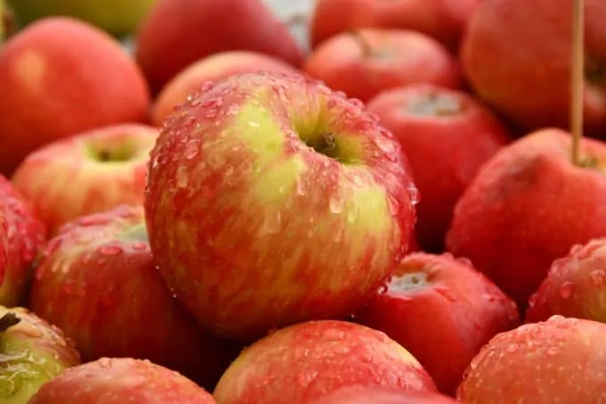 Best Indian Diet Plan for Diabetes control 4 Apple Best Indian Diet Plan for Diabetes control