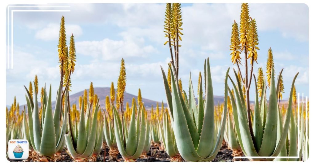10 Remarkable Anti Diabetic Plants You Should Know About