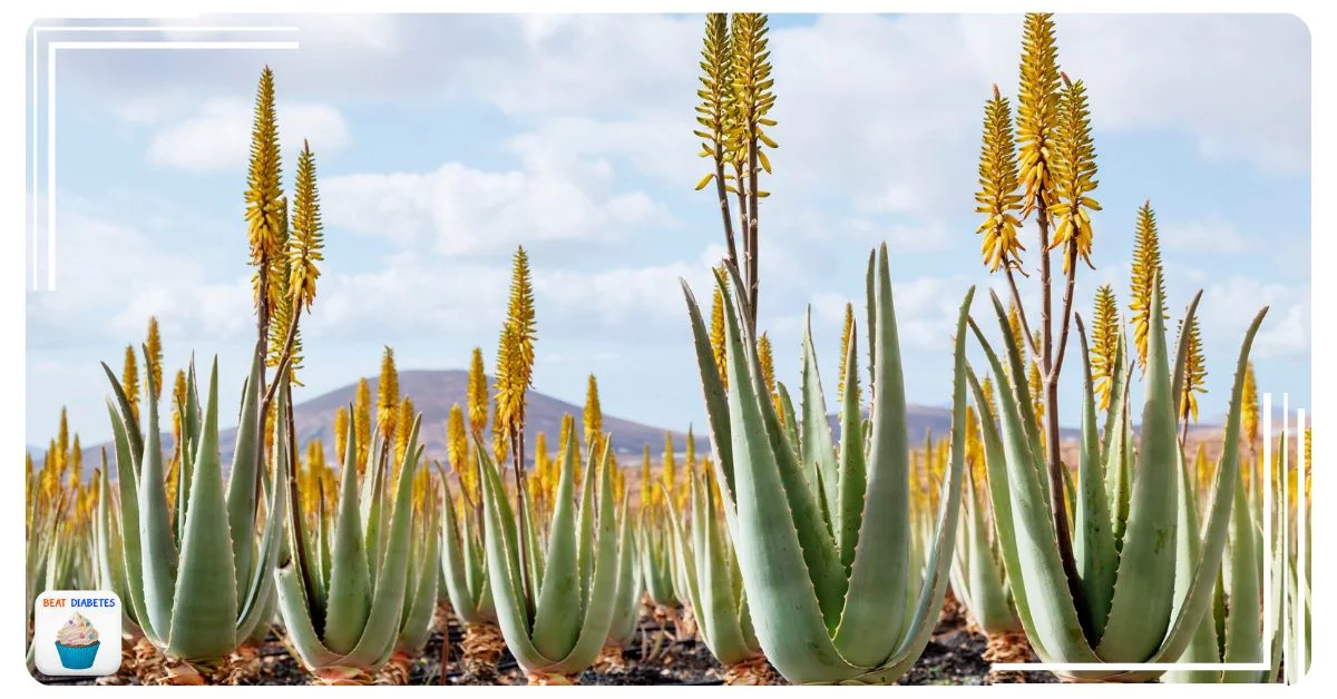 10 Remarkable Anti Diabetic Plants You Should Know About 1 10 Remarkable Anti Diabetic Plants You Should Know About