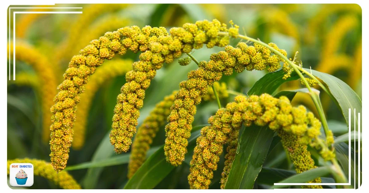 Low GI India vegetarian Foods