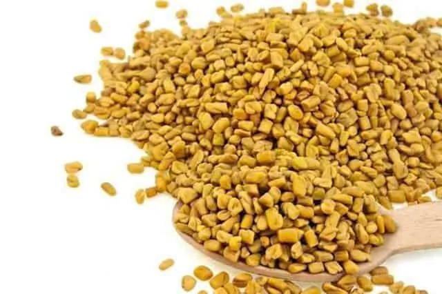 Methi (Fenugreek)
