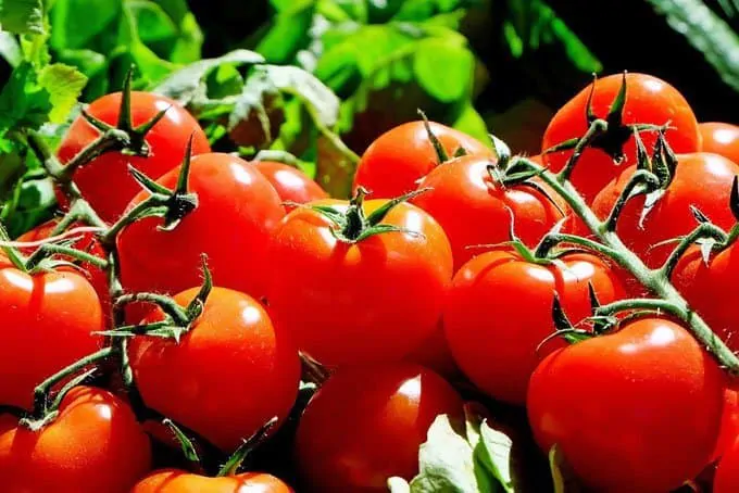 15 Common Foods with Low Glycemic Index 7 Tomatoes