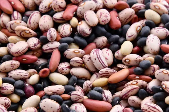 15 Common Foods with Low Glycemic Index 4 beans