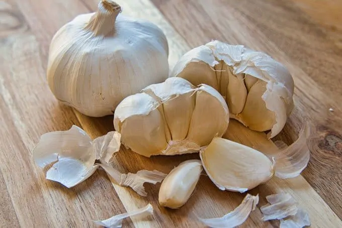 15 Common Foods with Low Glycemic Index 5 garlic