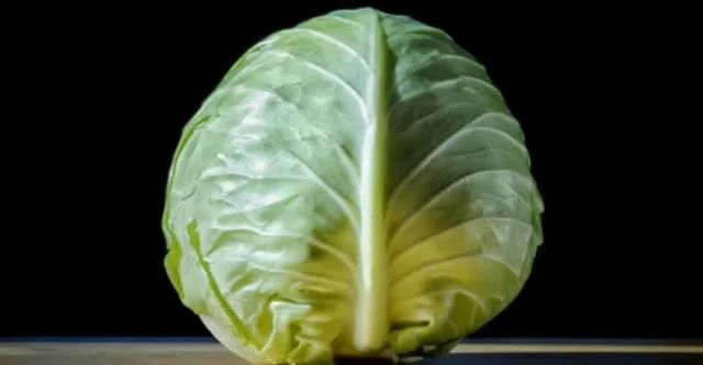 BENEFITS OF EATING CABBAGE