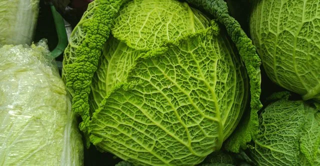 RISKS-cabbage