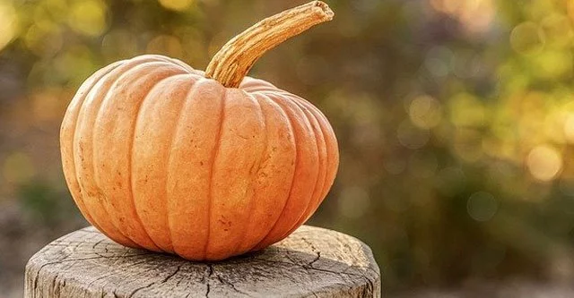 Is Pumpkin High in Sugar? Can Diabetic Patients Eat Pumpkin Seeds? 2 Can Diabetics Eat Pumpkin