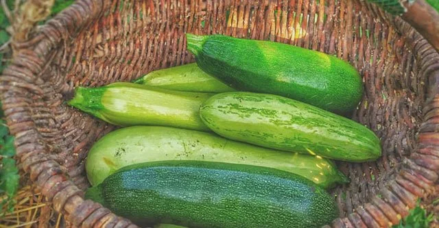 What is the Glycemic Index of Cucumber? 15 Health Benefits 3 Different ways to incorporate cucumbers in your diet