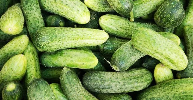 What is the Glycemic Index of Cucumber? 15 Health Benefits 2 Other benefits from eating Cucumbers