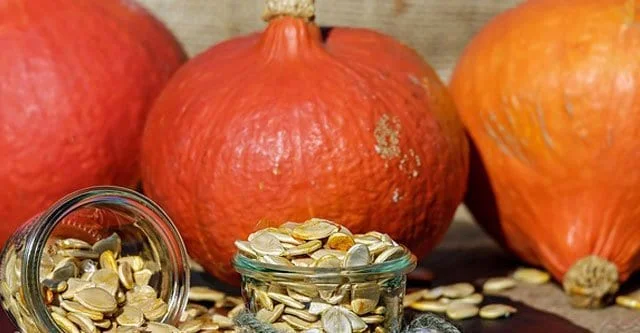 Is Pumpkin High in Sugar? Can Diabetic Patients Eat Pumpkin Seeds? 5 benefits of consuming Pumpkin Seeds