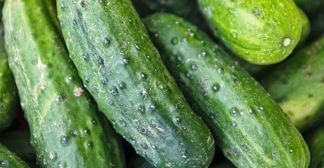 What is the Glycemic Index of Cucumber? 15 Health Benefits 1 what is the glycemic index of cucumber