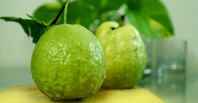 Guava Glycemic Index & 15 Benefits for Diabetes 3 Rationale of eating Guava in Diabetic patients