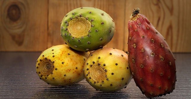 are-prickly-pears-good-for-diabetics-8-benefits-nutrition-beat