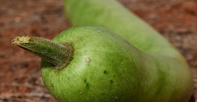 what-is-bottle-gourd-lauki-doodhi-7-health-benefits-beat-diabetes