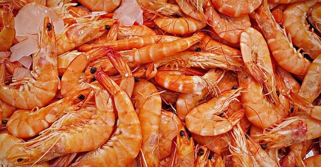 disadvantages of Shrimps and Prawns