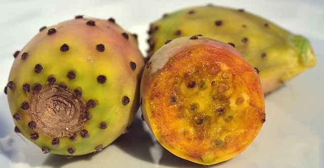 health-related benefits of Prickly Pears
