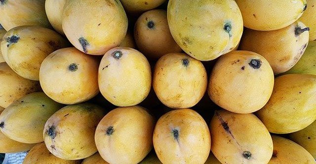 Is Mango Good for Diabetes? 9 Benefits & Glycemic Index
