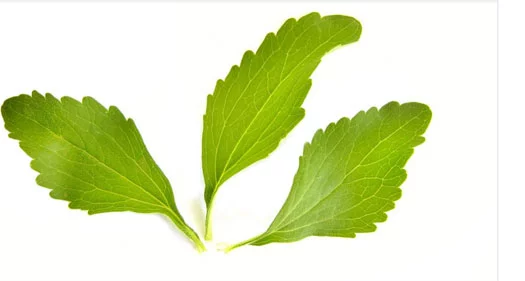 4 Tips for using Stevia wisely