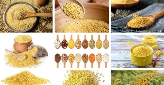 Millets for Diabetes &ndash; Calories & 5 Health Benefits