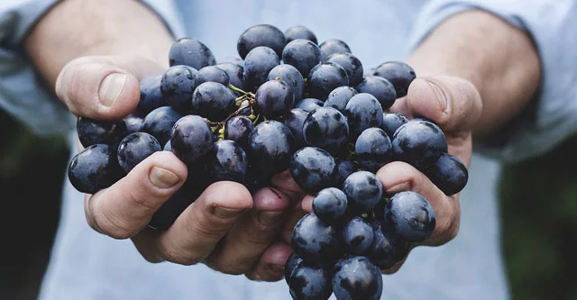 Are-Grapes-safe-for-diabetes