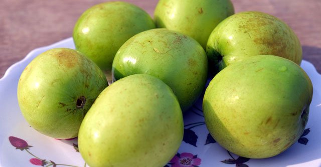 Is Ber fruit (jujube) good for diabetics