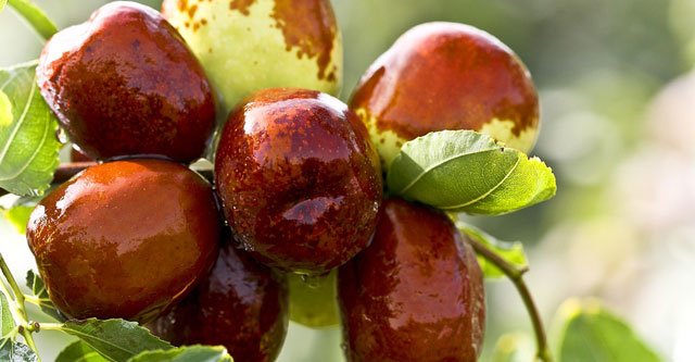What is the Glycemic Index of Ber fruit (jujube)