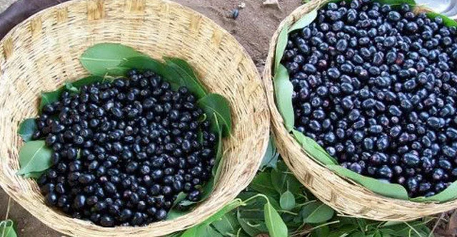 What is the Glycemic Index of Jamun
