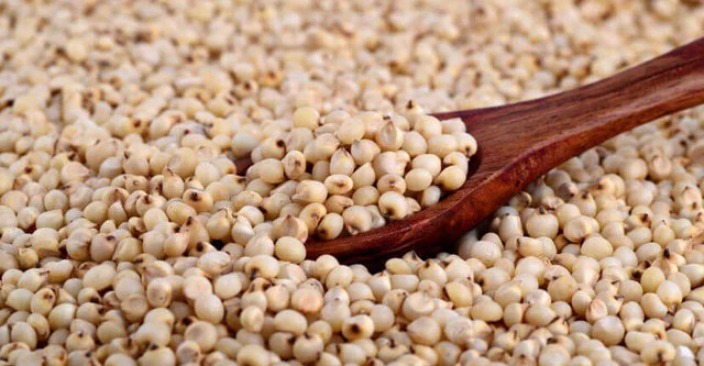 What is the Glycemic Index of Sorghum