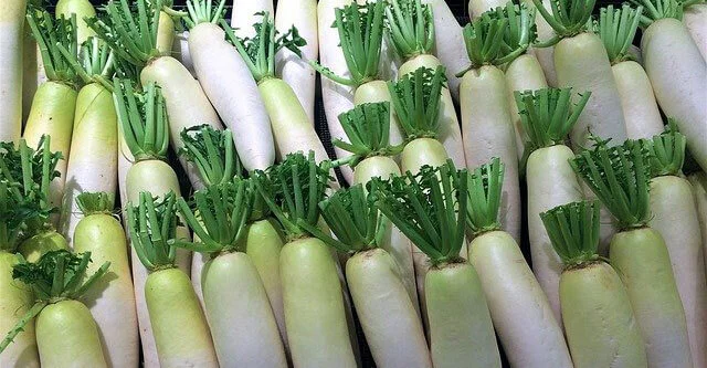 Can-A-Diabetic-Patient-Eat-Radish-15-Benefits