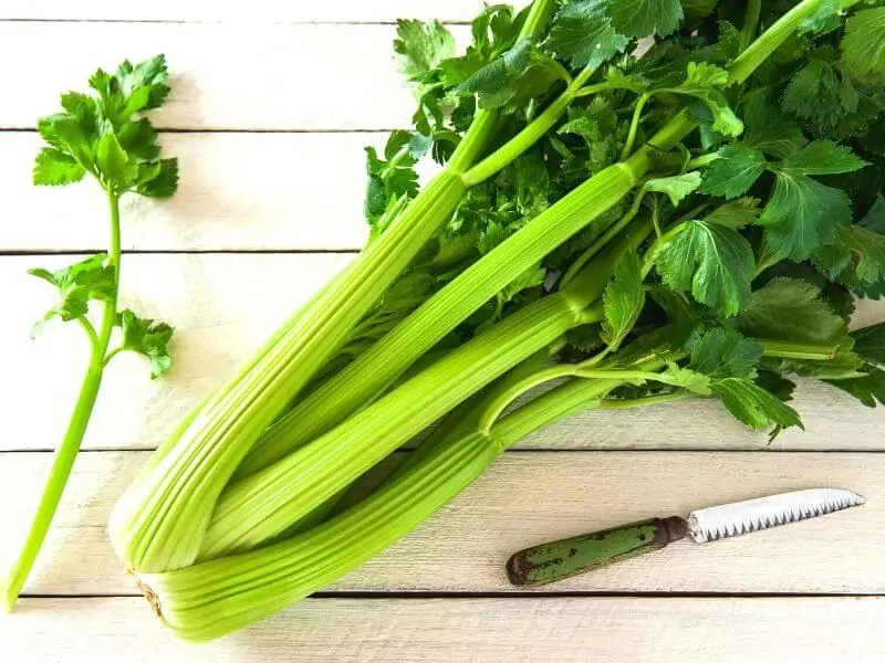 Celery 1 1