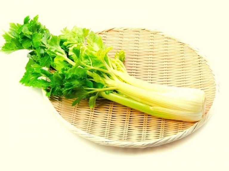 Is Celery Good For Diabetics Type 2