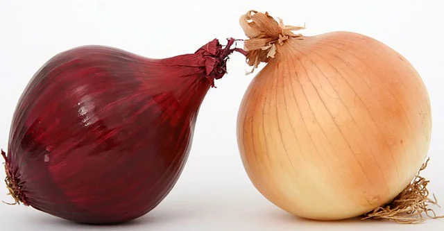 What is Glycemic Index of Onion? Is it Bad for Diabetics? 7 Rich-source-of-Vitamins-and-Flavonoids-onion