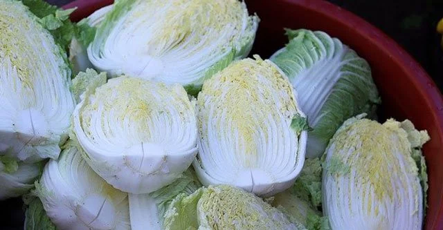 What is the nutritional composition of Chinese cabbage