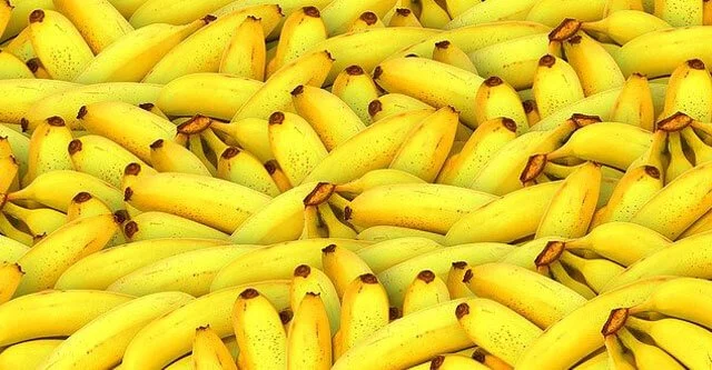 Do bananas raise your blood sugar levels
