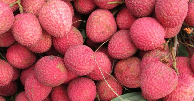 Is Litchi Good for Diabetic Patients? (8 Health Benefits) 2 How many lychees litchi can a diabetic eat