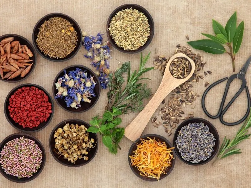 Does Madhunashini Vati Affect Kidneys? (10 Uses and Dosage) 2 Madhinashini Vato Dosage