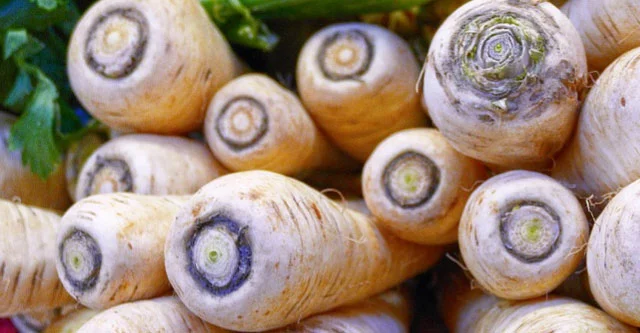 14 High GI Vegetables that are Bad for Diabetes 2 Parsnips-vegetables