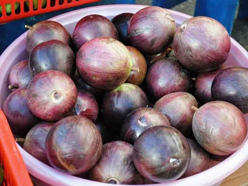 nutritional values of Star Apple