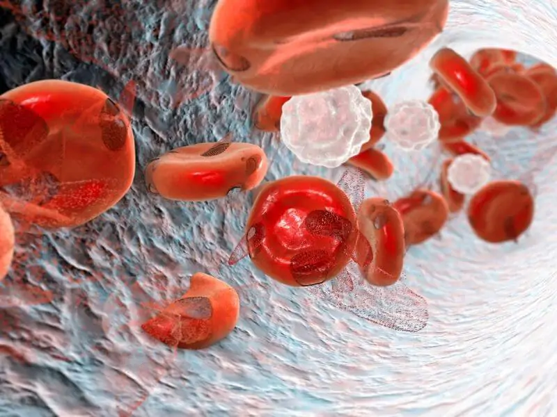 Star apple anemia red blood cells
