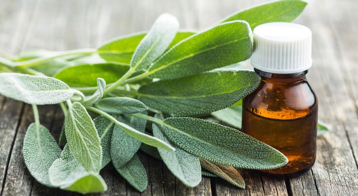 Sage oil essential oils to avoid diabetes