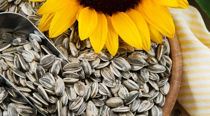 35 Low Glycemic Index Foods List 3 Sunflower seeds low glycemic index foods