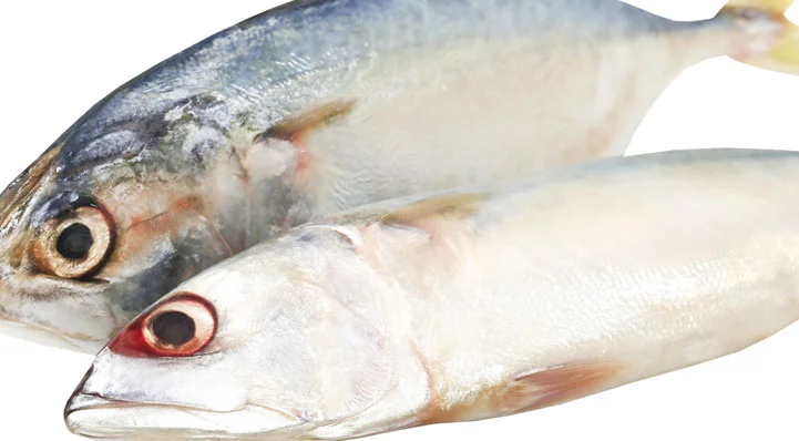 35 Low Glycemic Index Foods List 4 Tuna fish Low Glycemic Index Foods List
