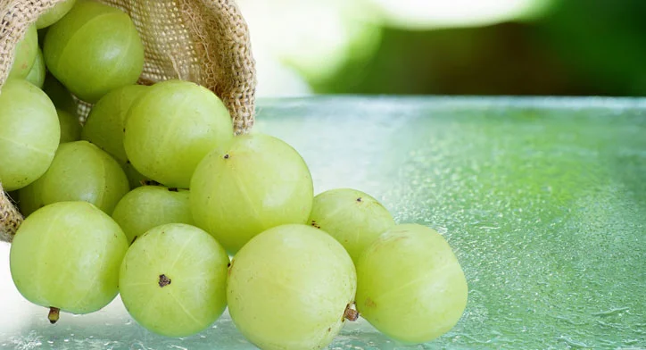18 Best Home Remedies For Lowering Blood Sugar In Diabetes 4 amla gooseberry Best Home Remedies For Lowering Blood Sugar In Diabetes