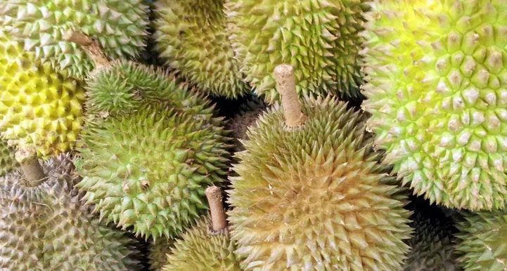 Is Durian Good for Diabetes Benefits vs Risks