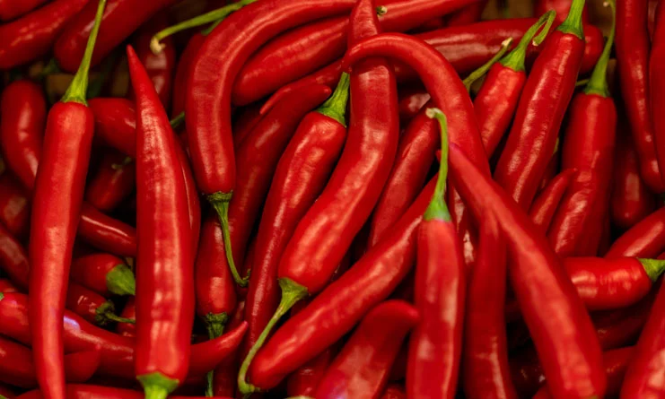 Cayenne Pepper for Diabetes: 9 Benefits & Side Effects
