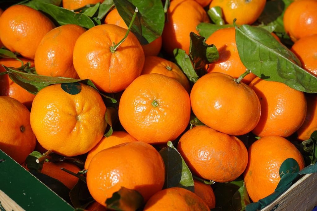 Are Tangerines Good for Diabetics